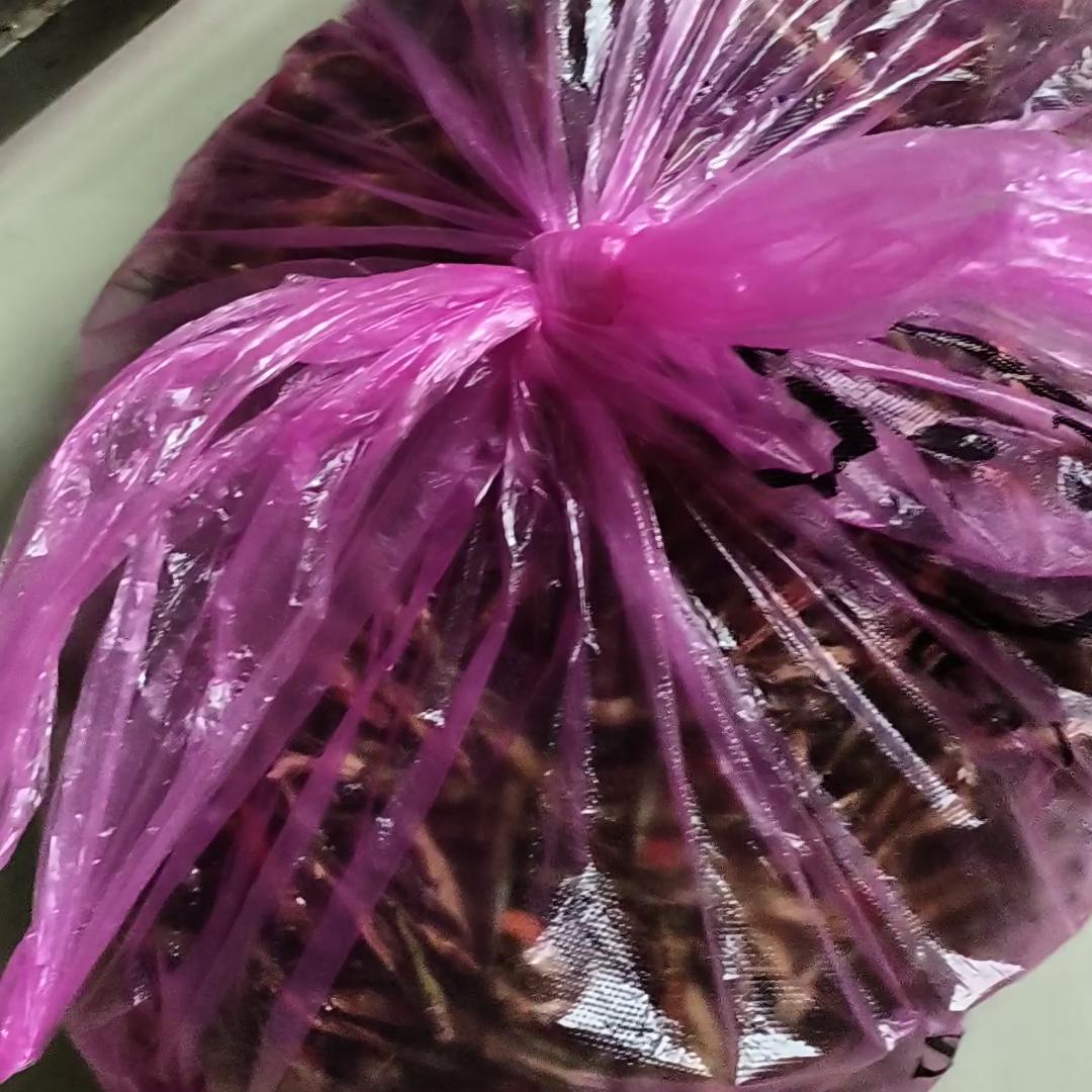 谁知道这是什么蘑菇,谁知道这是什么动漫