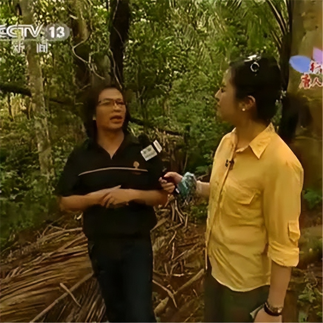 因“材”际会，安信地板与南美巴西的不解之缘