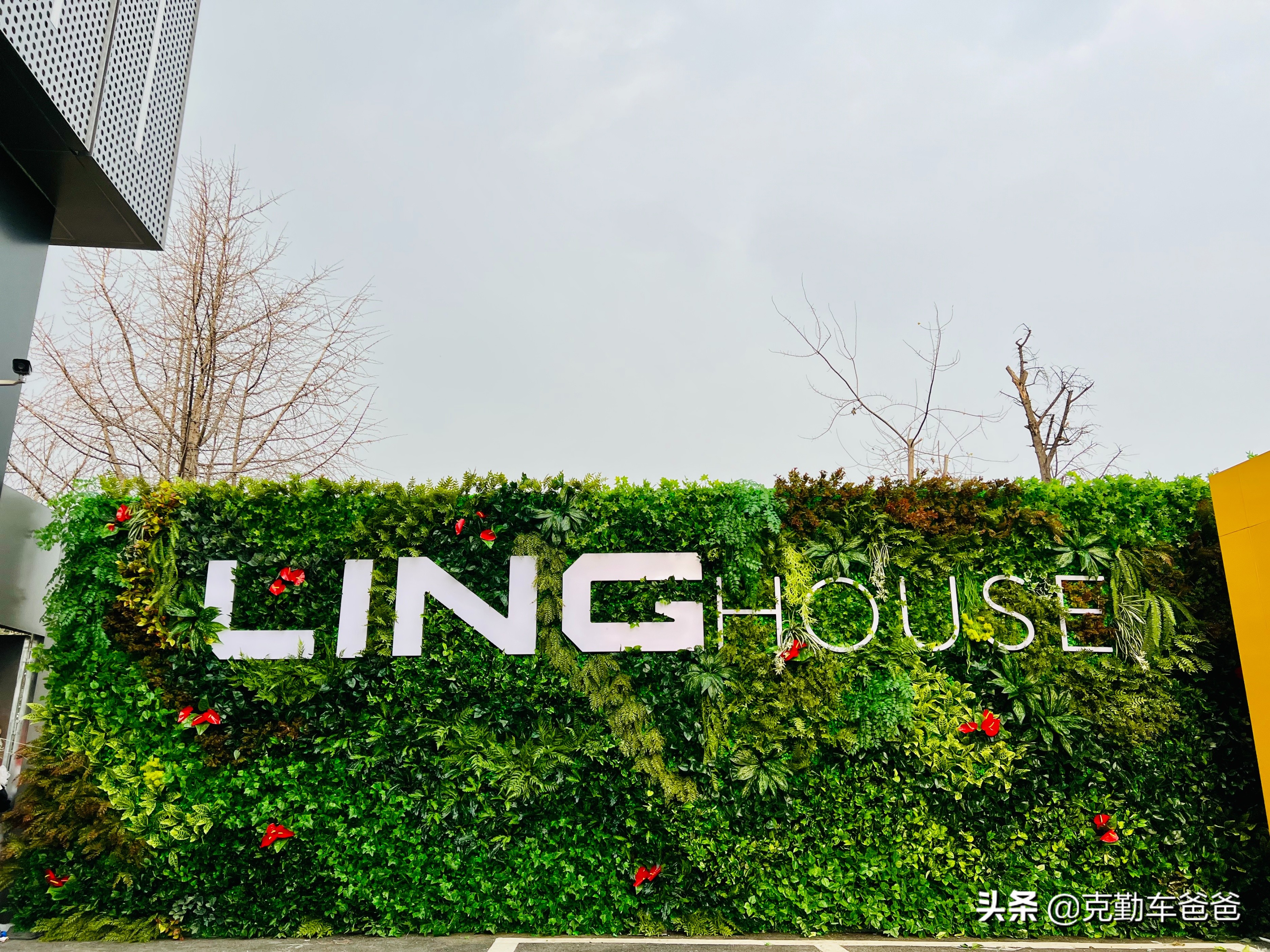 gameboy还值得买吗,gameboy潮酷上市