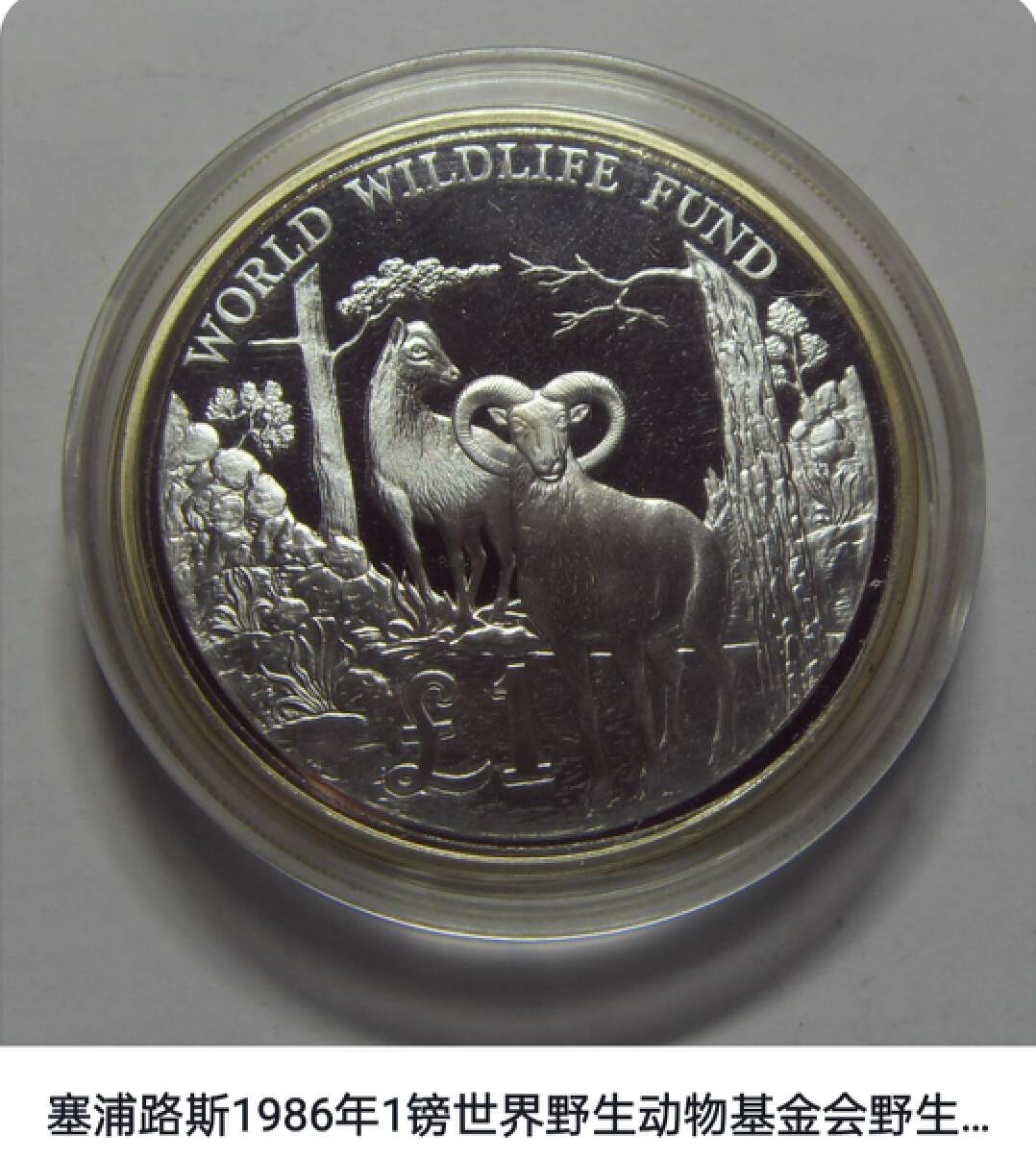 山海经2012白话全译彩图版pdf,山海经海外西经是指哪里