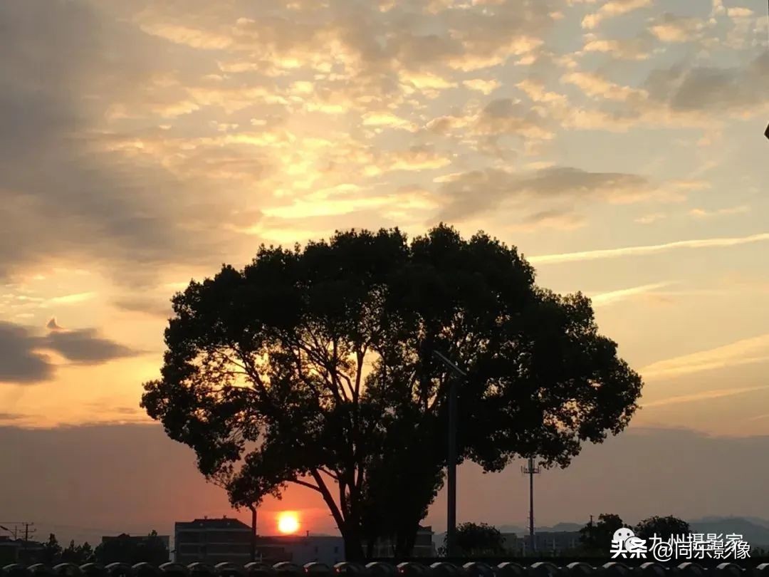 海阔凭鱼跃，天高任鸟飞---九州摄影浙江俱乐部优秀作品展