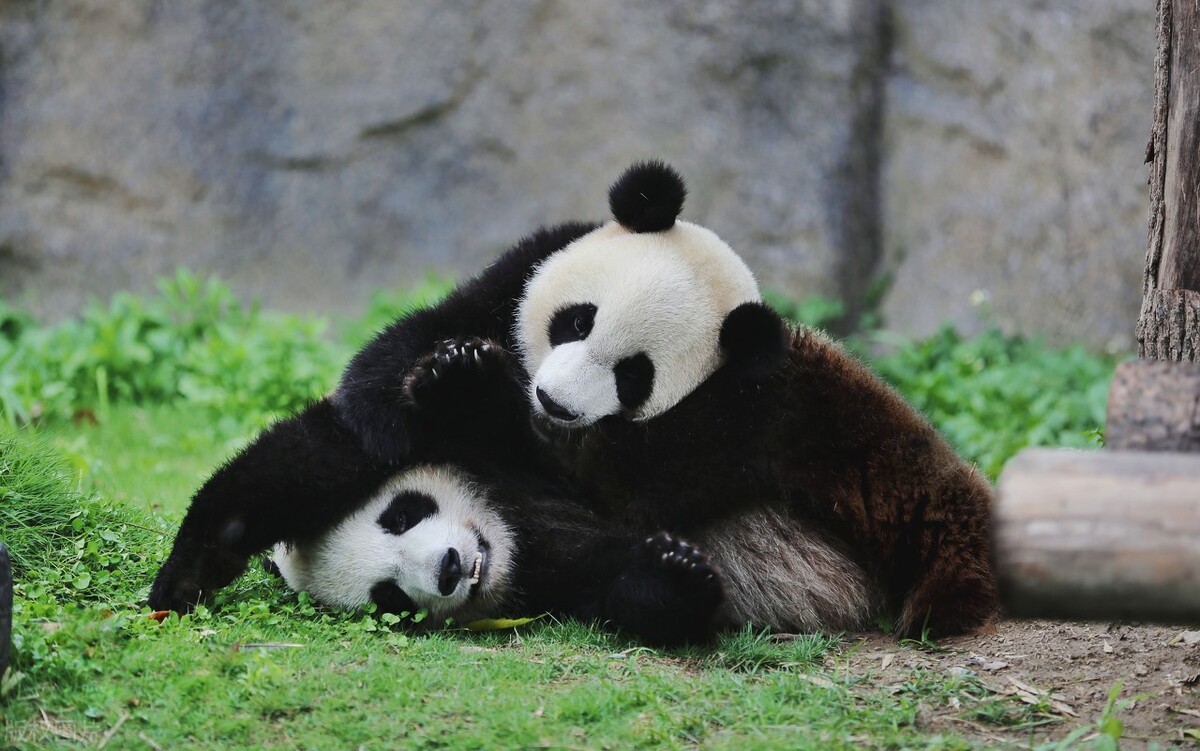 上海川沙古镇美食攻略,上海美食攻略必去的地方