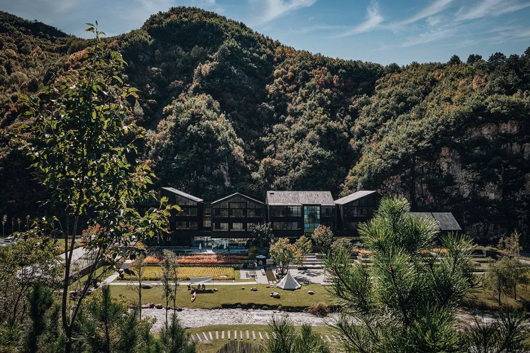 特色民宿受热捧,被疫情耽误的民宿