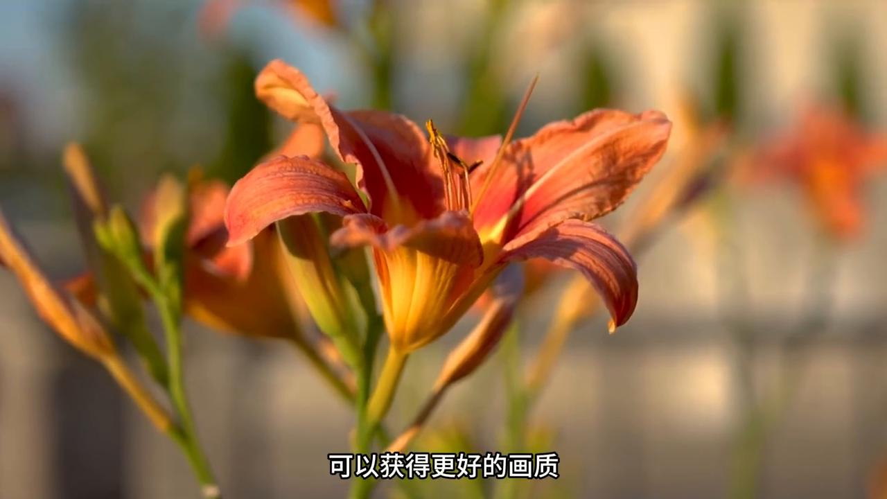 单反微单三种相机的区别,单反微单卡片机三款的价格区别