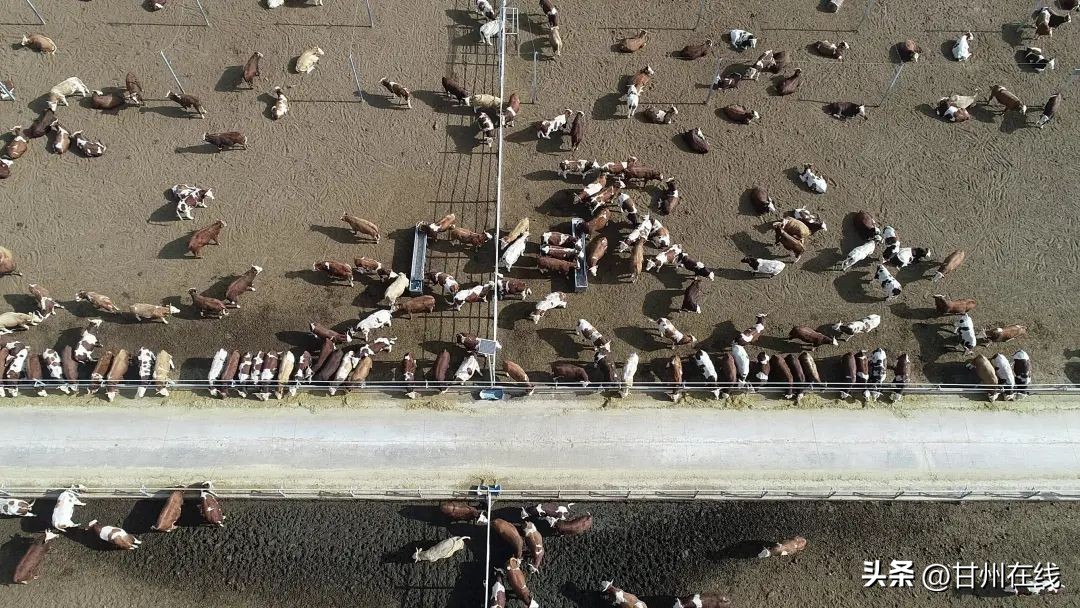 甘州：企业发展“铆足劲”春季生产“拉满弓”