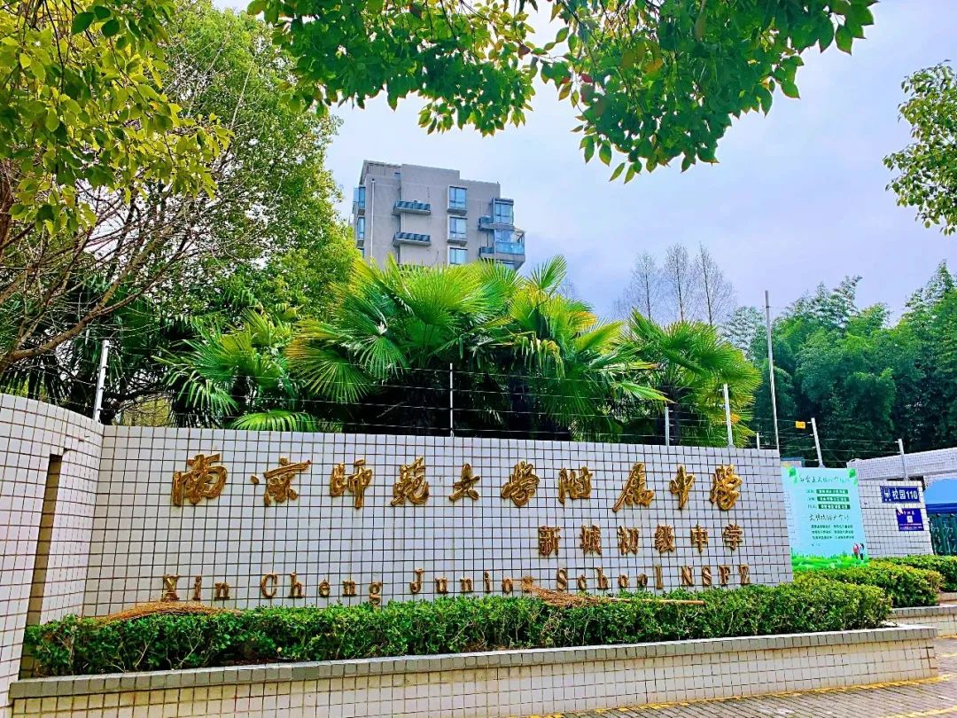 南京雨花外国语小学学区房有哪些,南京琅琊路小学学区房有哪些小区