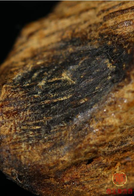 每个人脸上都有一个永不休息的“劳模”，值得我们用沉香滋养