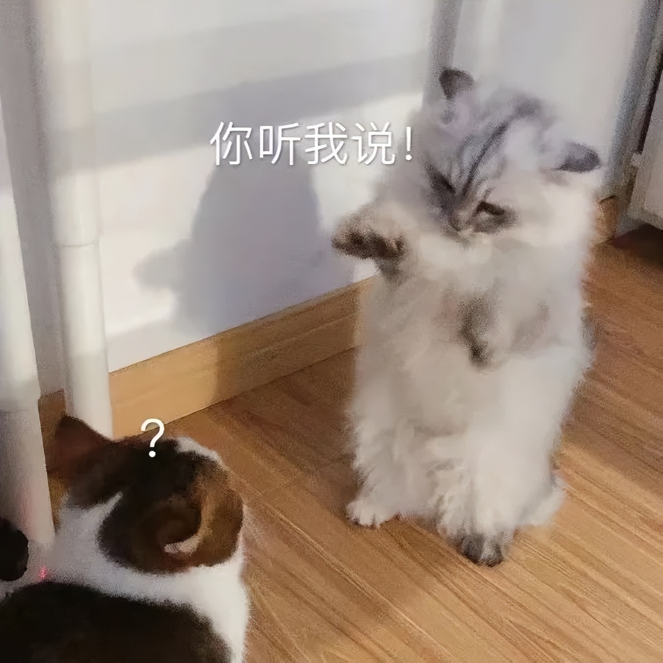 速查这7批次食品抽检不合格,最新通报20批次食品抽检不合格