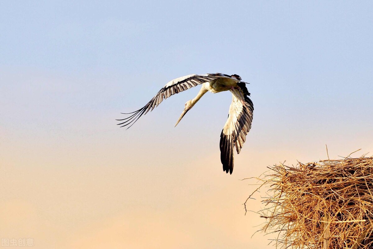 鎶樼焊娈¤懍鍚勭鍏冨疂,鐢ㄦ姌绾稿彔妫烘潗鍜岄鐏扮洅