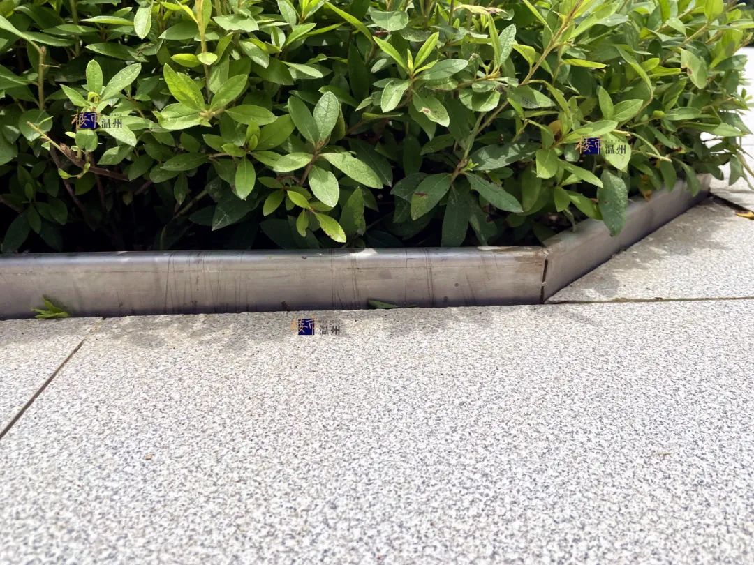 温州这个新盘交付了!号称“精工”,重要区域却极其简陋!