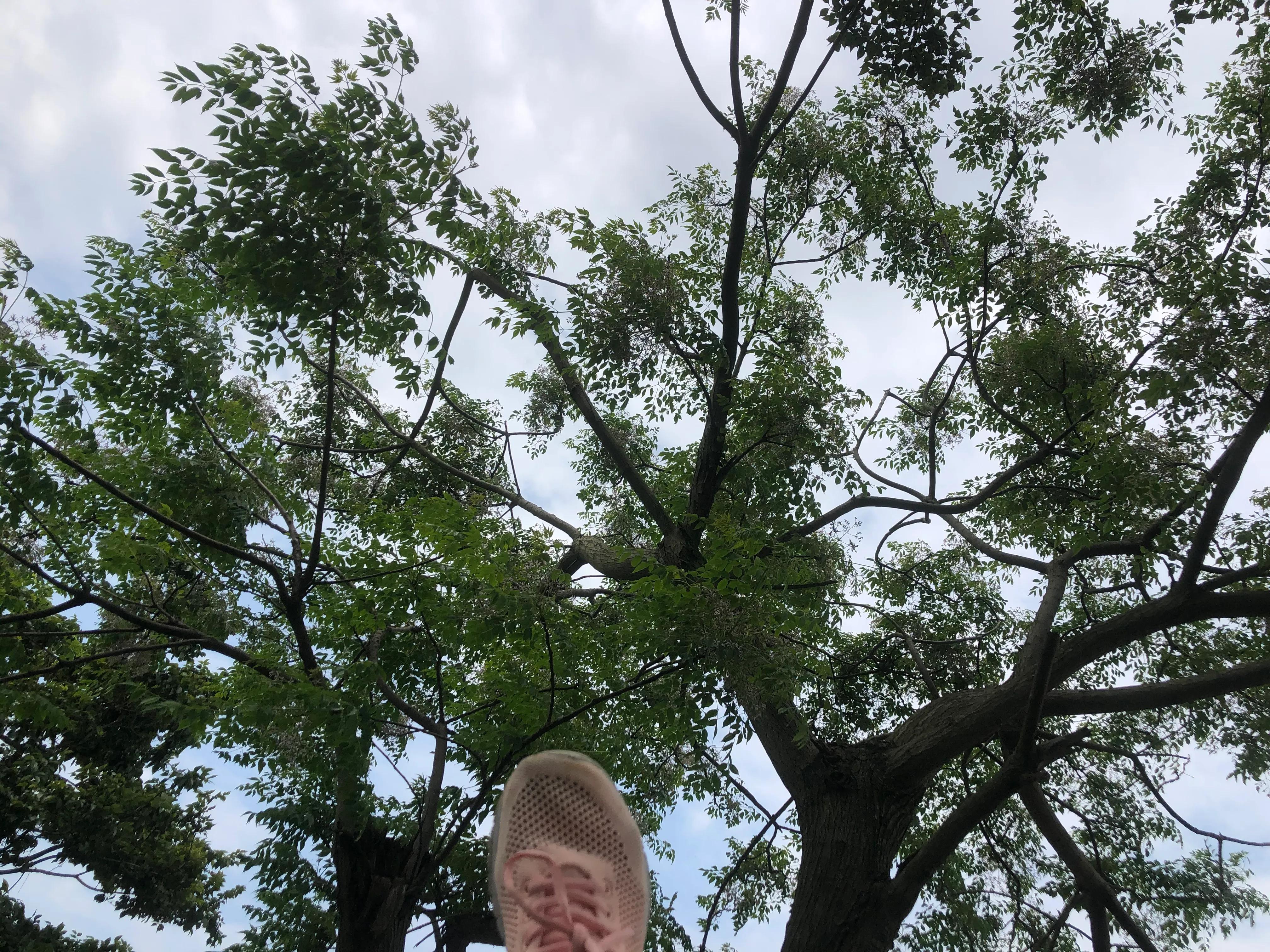 乐在其中自由自在,参与其中乐在其中意思