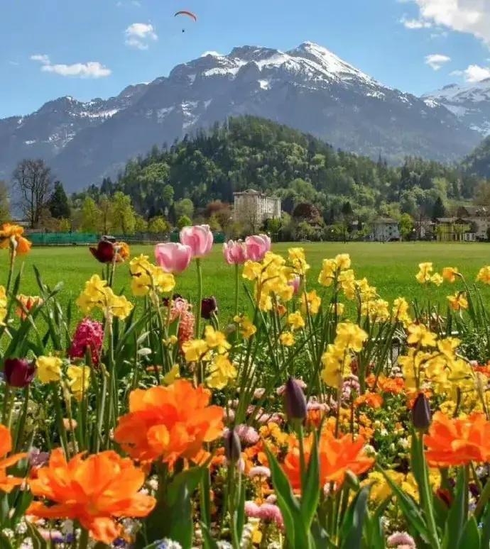 瑞士十大最美小镇施皮兹,瑞士因特拉肯小镇