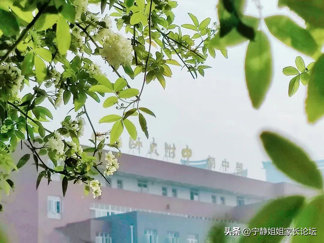 成都锦江区教育资源排名,锦江区教育资源片区排行榜