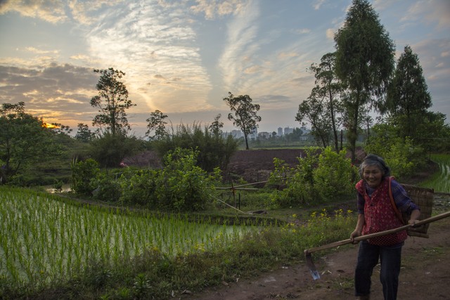 这辈子穿得最贵的衣服,终于穿上了最贵的衣服