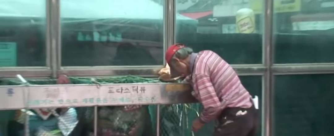 韩国大学生一辈子啃老没工作过,日韩年轻人的出路在哪里