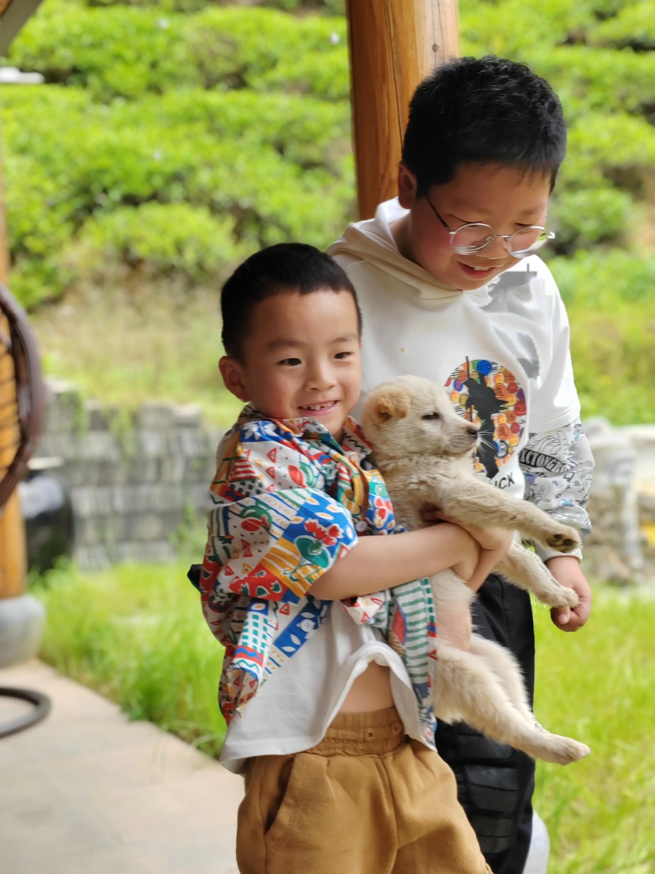 高考状元休宁,休宁十九位状元的名字