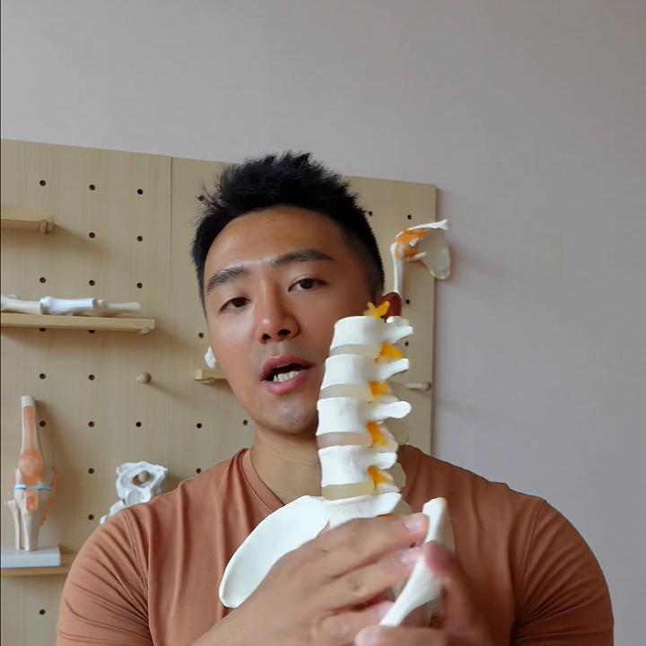 骨盆形变，张力解除优先，臀部训练靠后加入群聊，获取课程...