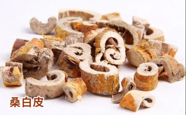 每日一味药桑白皮,与桑白皮有关的中药配方