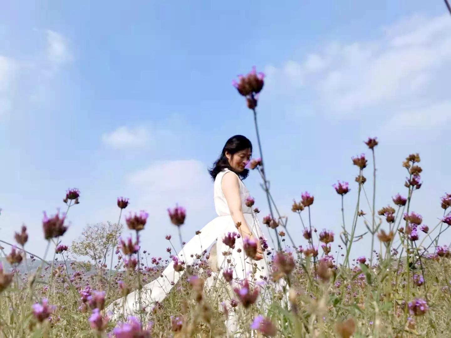 蚌埠禾泉山庄在哪里呀,蚌埠禾泉山庄爬涂山旅游攻略