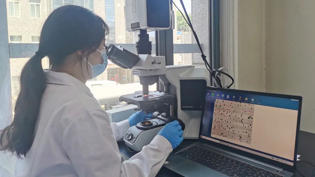 聚焦新城高质量发展|新城区：瞄准科技创新新赛道塑造产业发展新优势