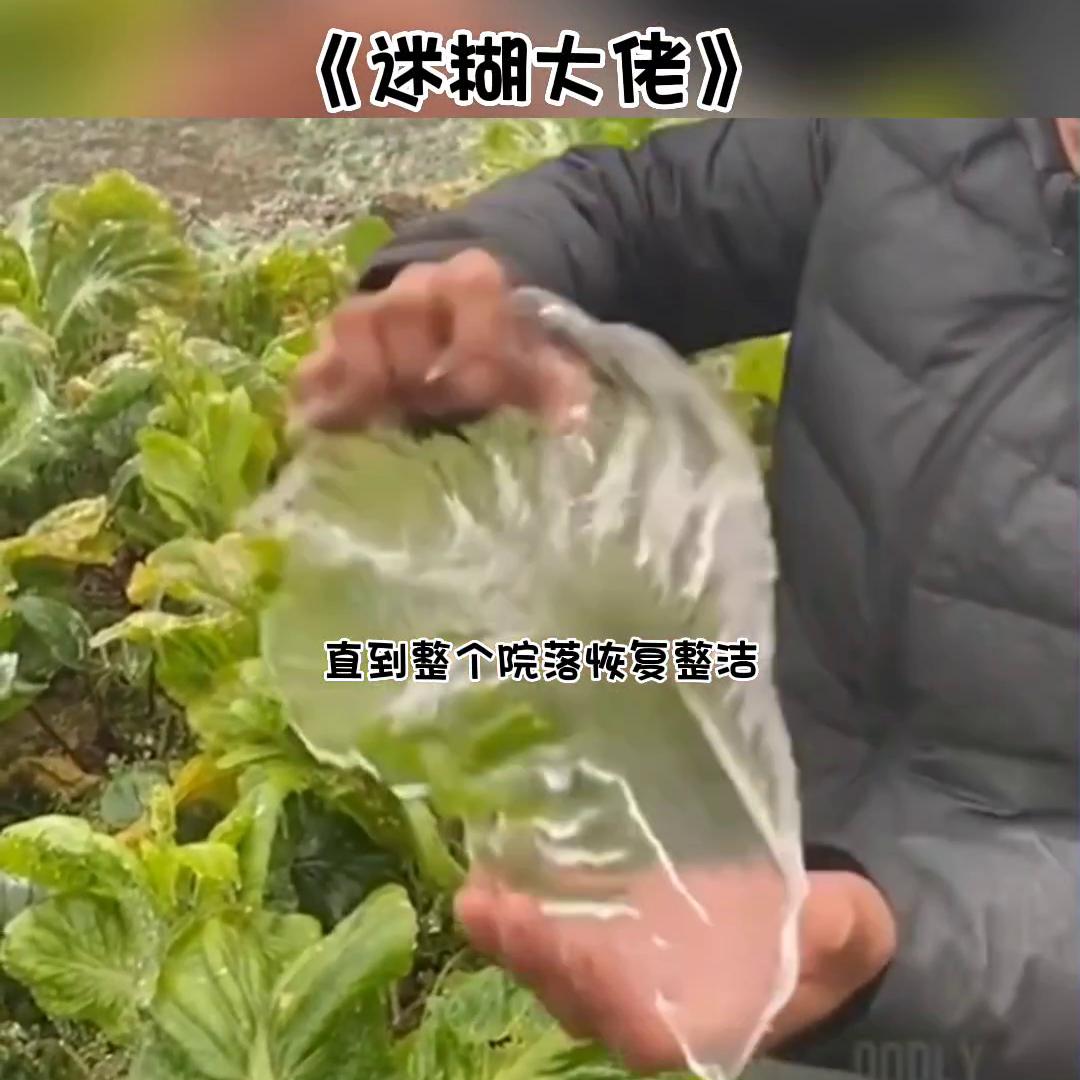 《迷糊大佬》大家都说我很厉害，但是我怎么不知道@抖音创...