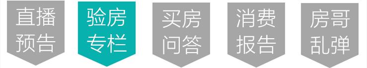 深度评房万科澜岸,万科澜岸交付质量