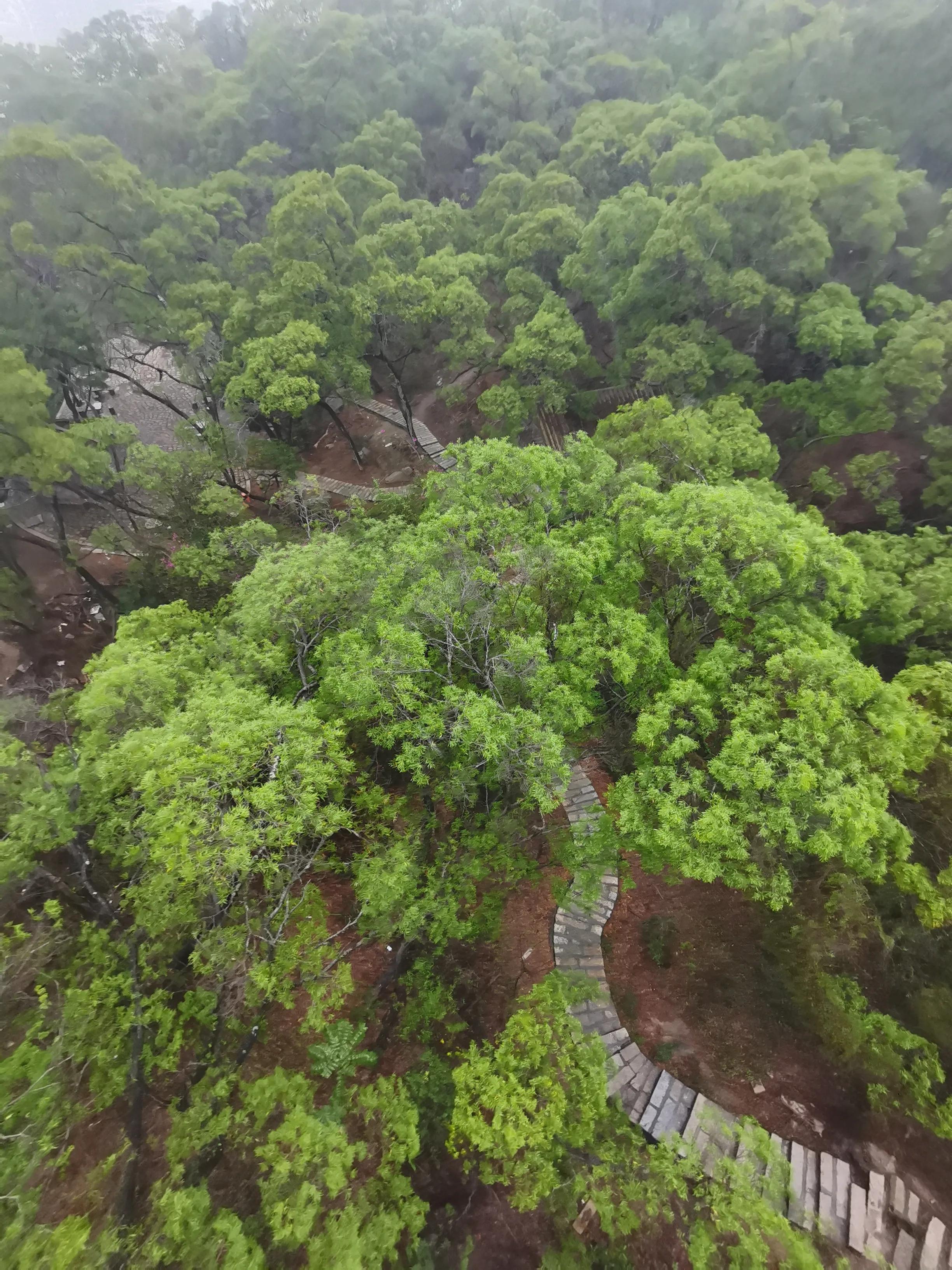 钟鼓索道厦门需要坐多久,钟鼓索道厦门视频
