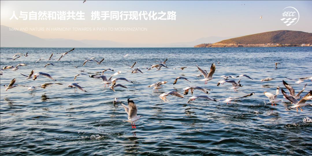 洱海论坛日程,2023洱海论坛开幕