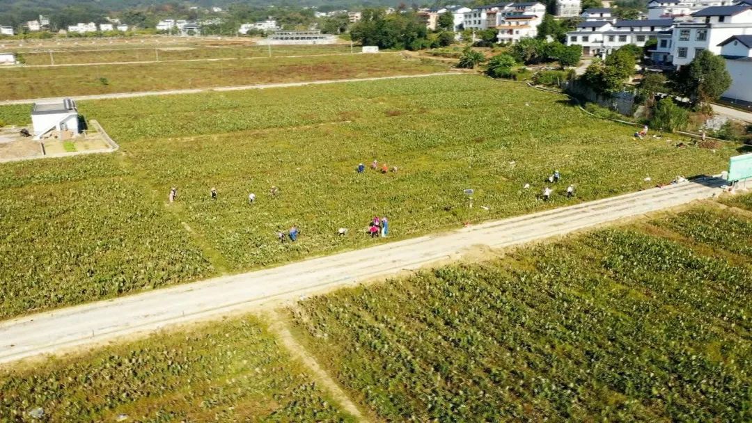 把东西卖到国外赚钱吗,把东西卖到国外去赚国外的钱