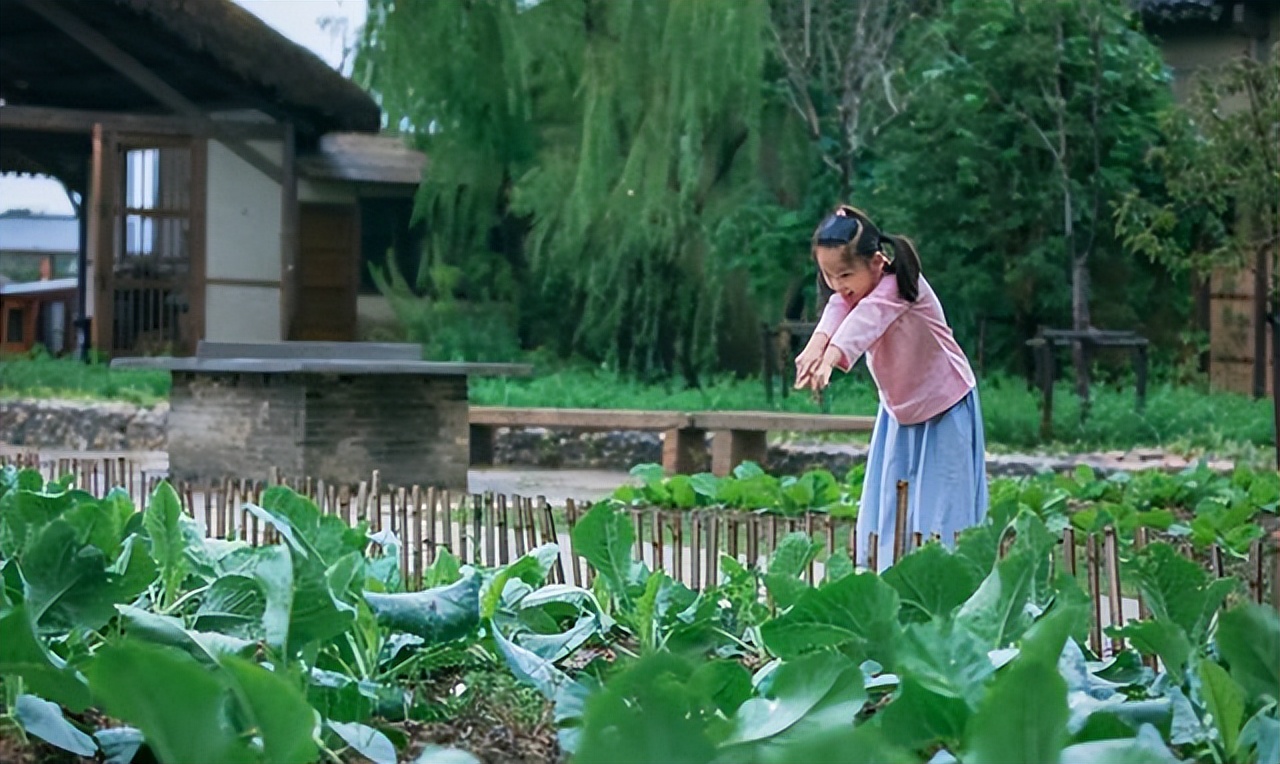 乌村一日游路线,乌村观光游是什么