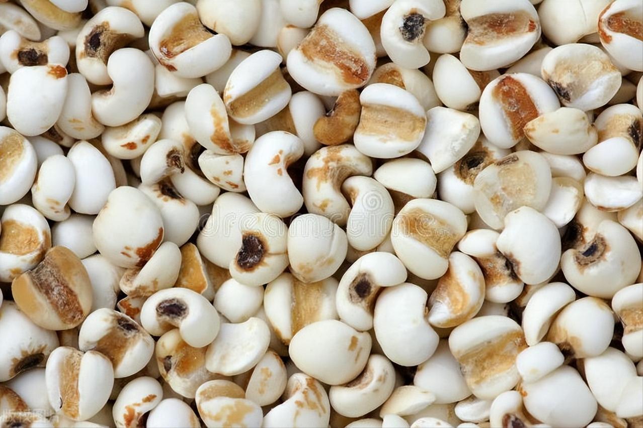 二妙丸、三妙丸、四妙丸，究竟妙在何处？