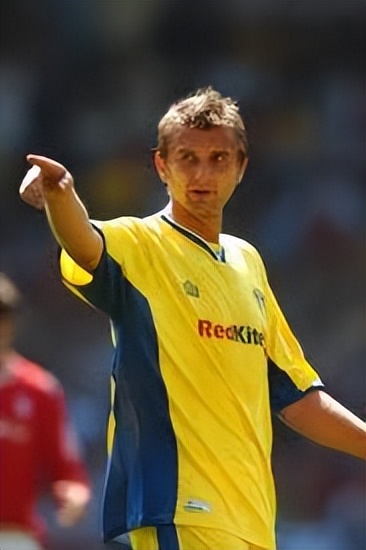 2010世界杯总决赛托雷斯,2010世界杯托雷斯进球集锦