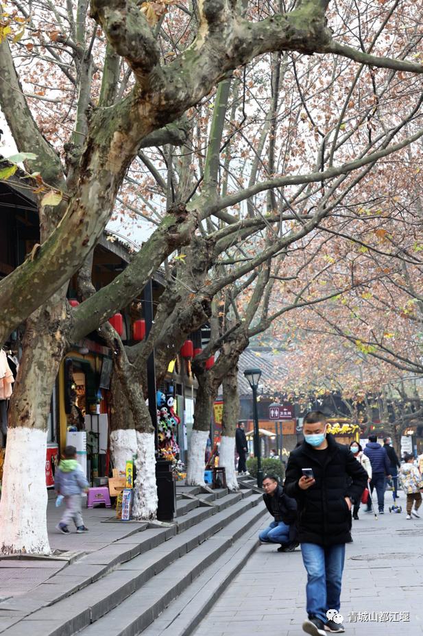 超安逸！水灵妹带你打卡都江堰6条烟火气十足的老街，告别喧嚣和浮躁，邂逅静美冬日~