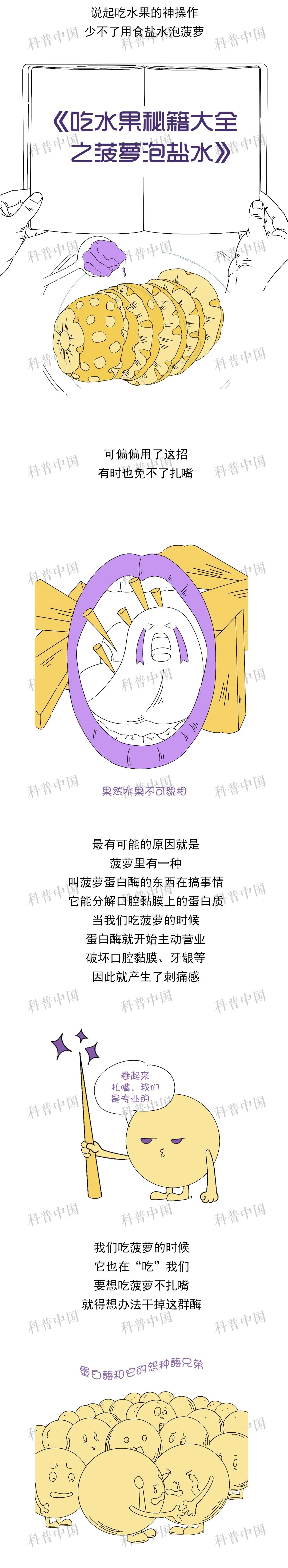 现在的菠萝为什么不泡在盐水了,菠萝泡在盐水里面可以泡多久