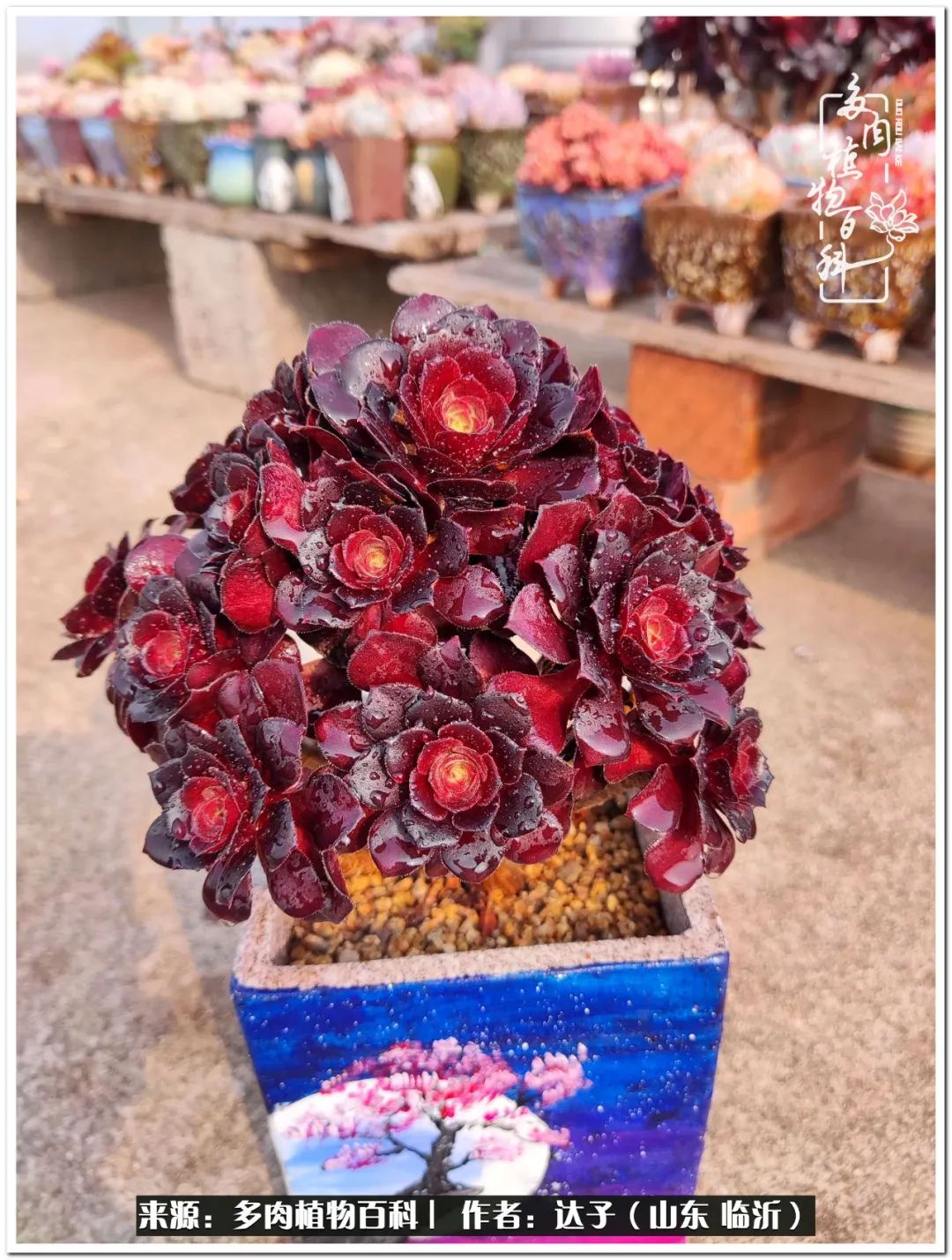 活在当下珍惜眼前平凡的生活,活在当下感慨万千