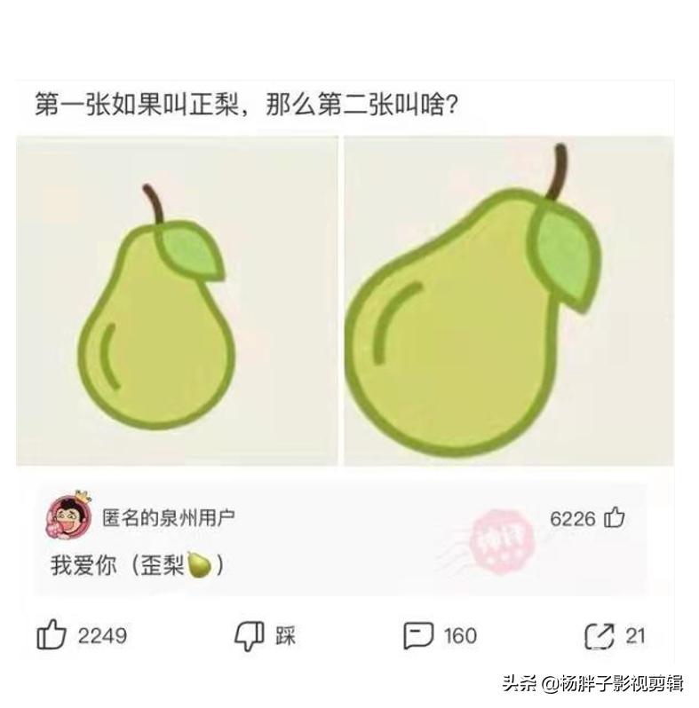 菠萝与凤梨是同一种水果吗,与凤梨菠萝相似的水果
