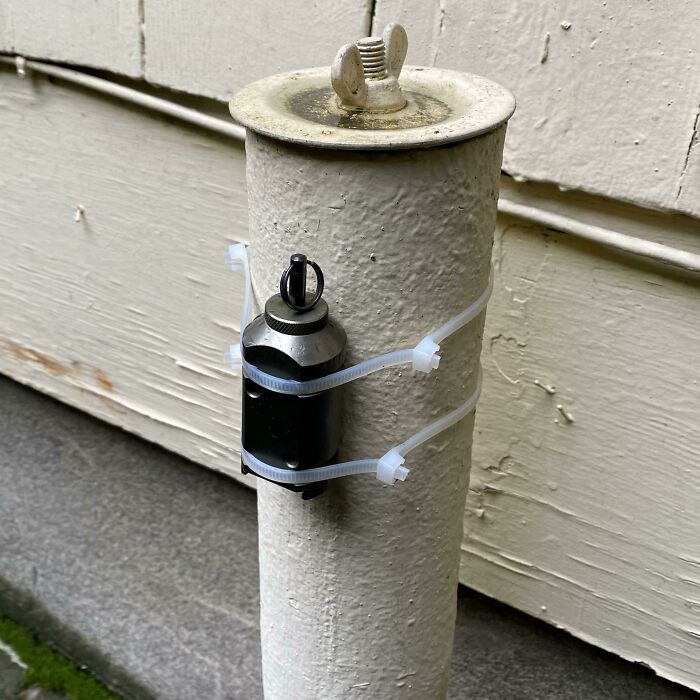 鉴定网上的奇特生物,鉴定神秘生物视频