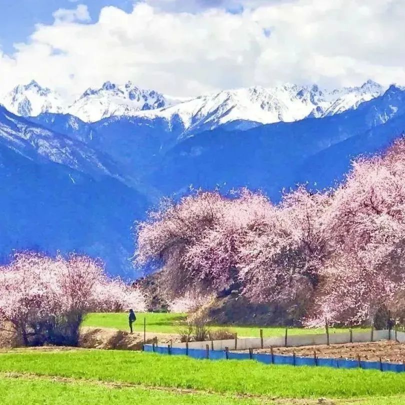 一图在手得心应手,一图在手走遍天下不用愁