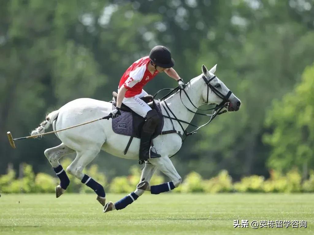 英国radleycollege,英栋