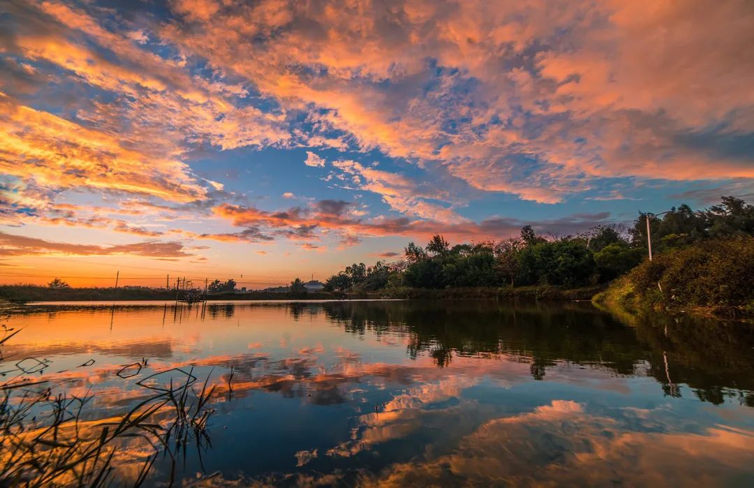 美食之都潮汕,广东茂名的特色美食水果