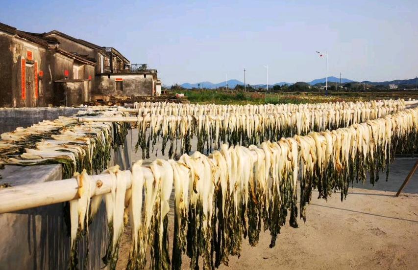 这几种廉价蔬菜晒干后，好吃又美味，保存时间长，用来炒肉真香