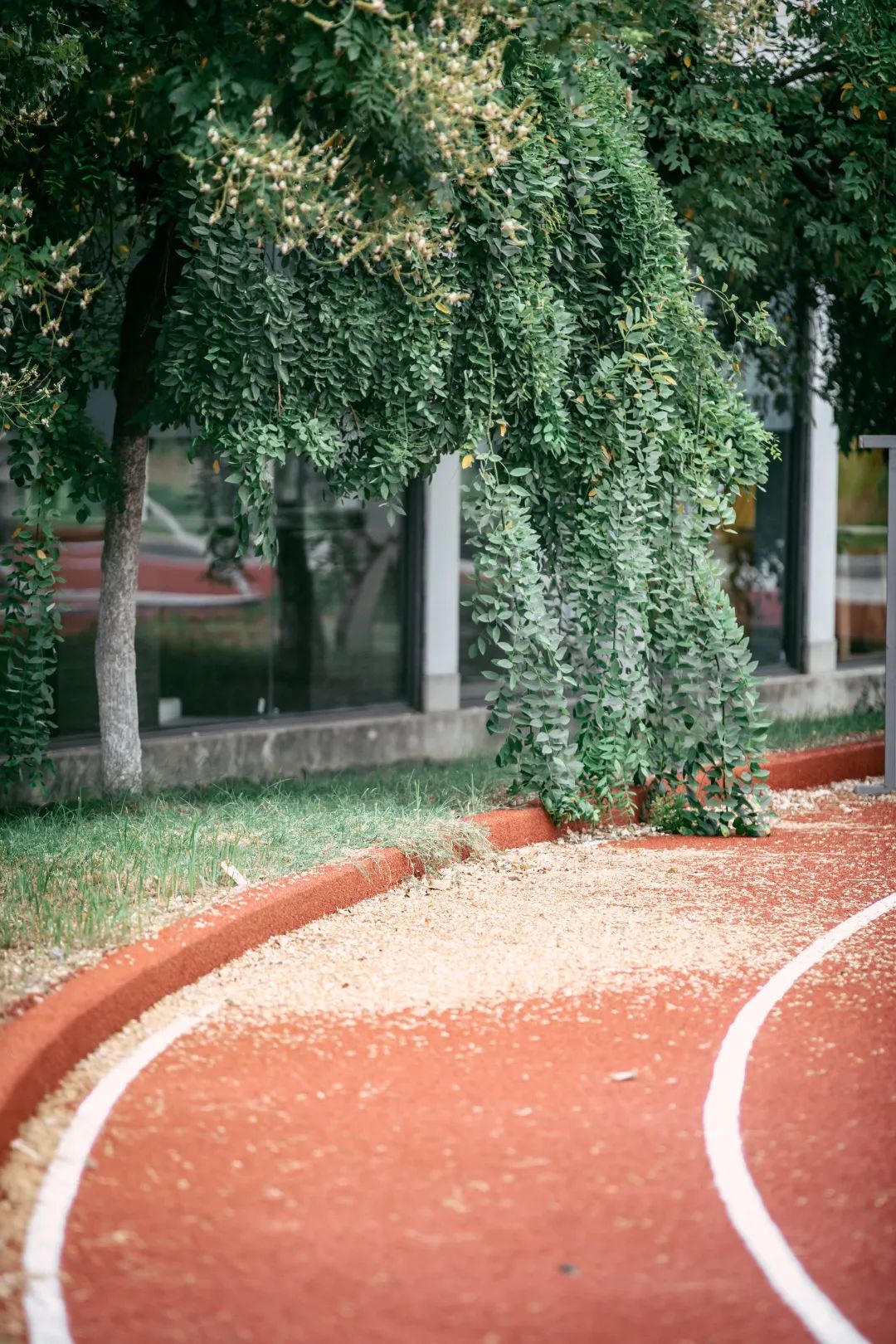 南京一中实验学校运动会,南京魅力校园人民中学运动会