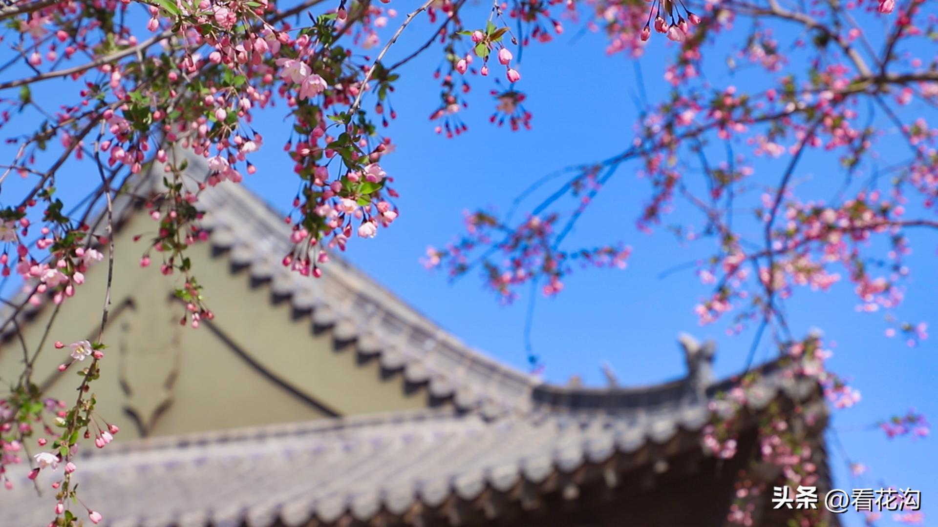 西平县107现在建的啥,1986河南驻马店西平