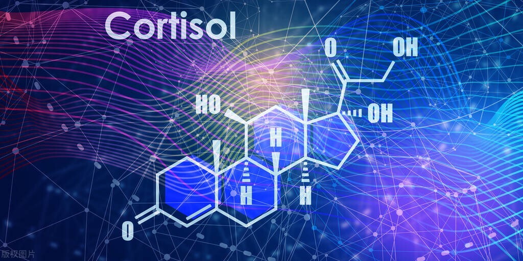 43岁女性肾病诊断,43岁女子双脚浮肿半年