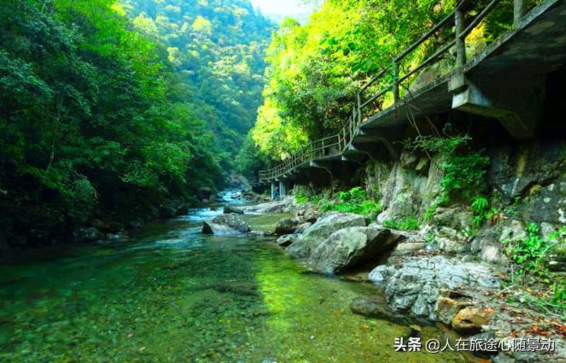 世界这么大要多去看看,金华免费旅游景区有哪些