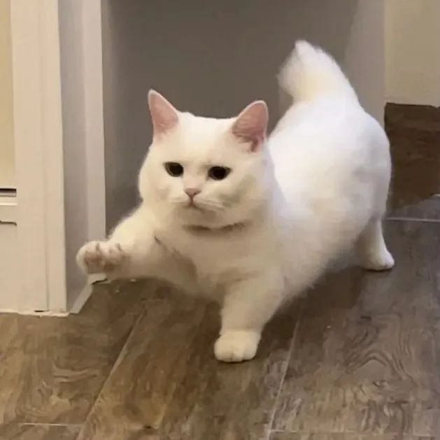 没事你继续打游戏吧表情包,我去打游戏了你乖乖的表情包