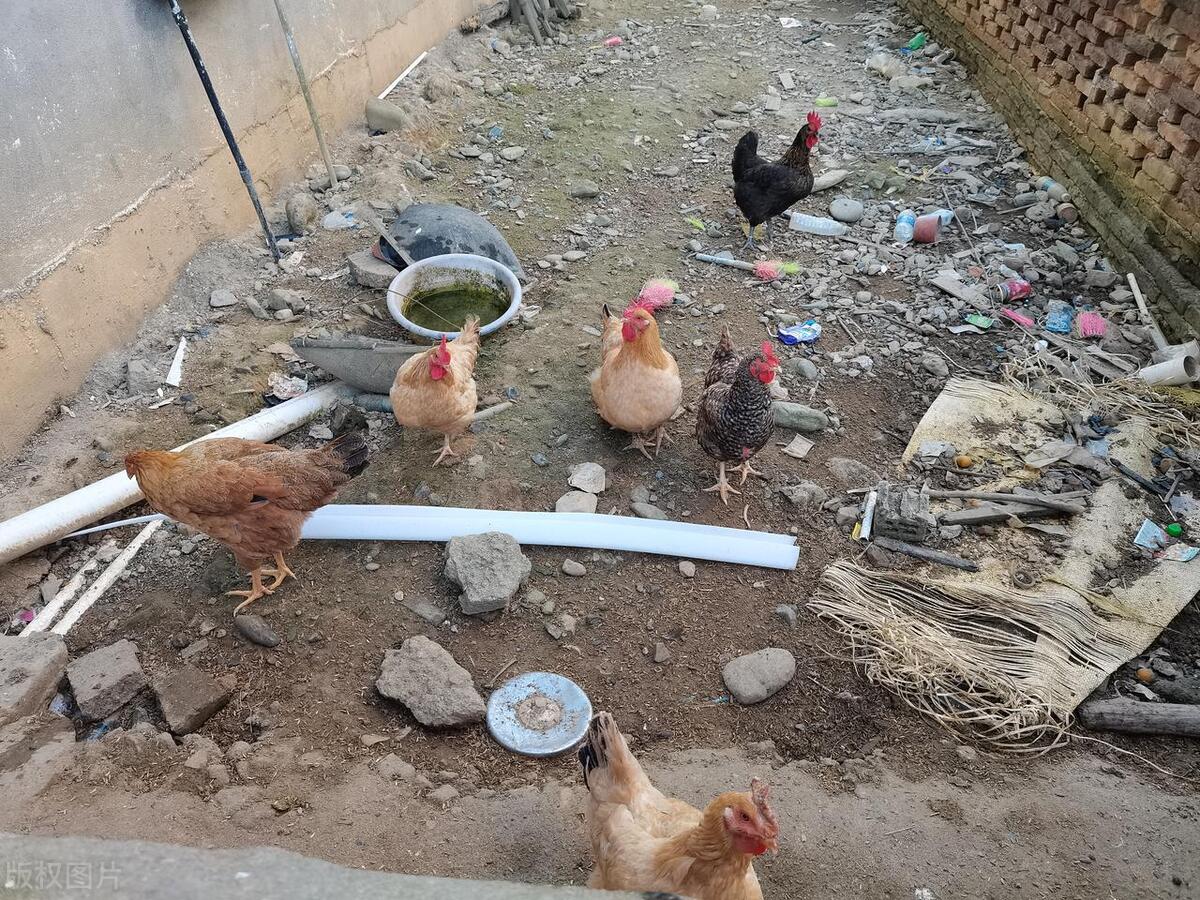 我帮同事带东西还没给我钱怎么办,我帮朋友带东西没给我钱怎么办