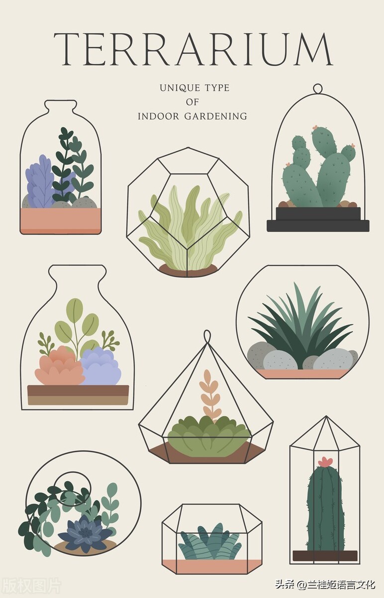 初中英语语法总结1到6册,初中英语语法教学视频第五讲