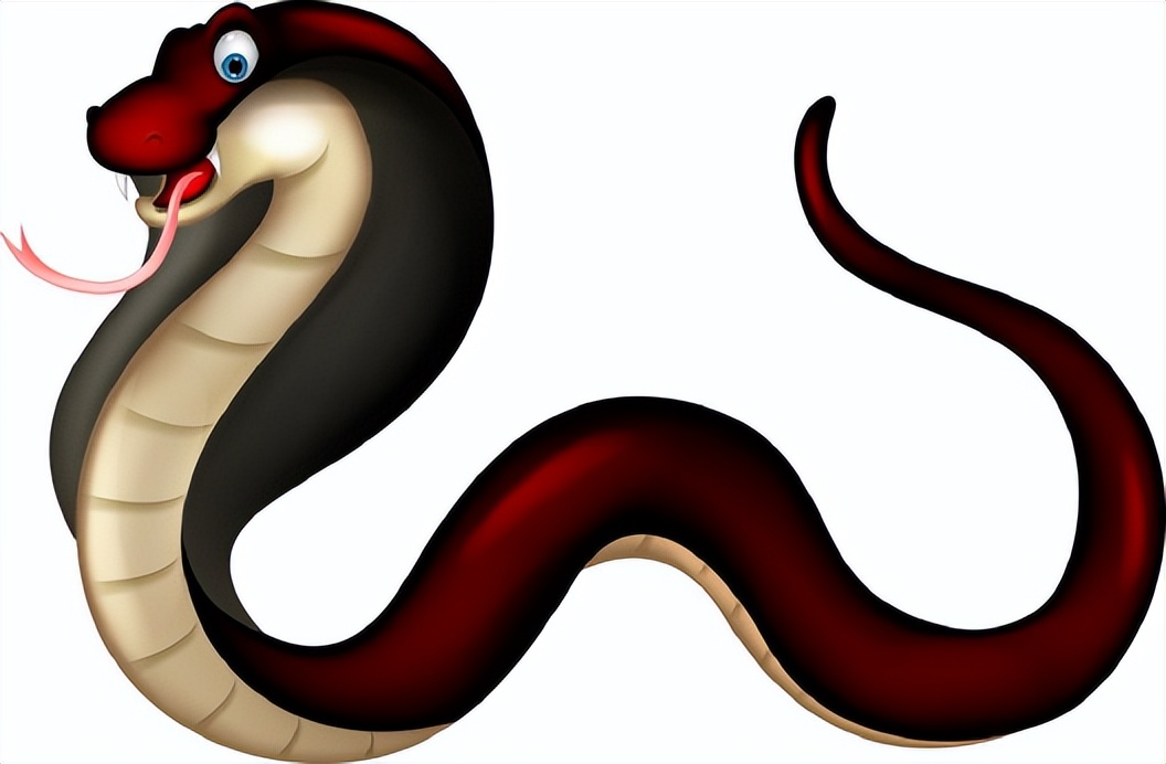 眼镜王蛇威胁人类,眼镜王蛇到底有多可怕