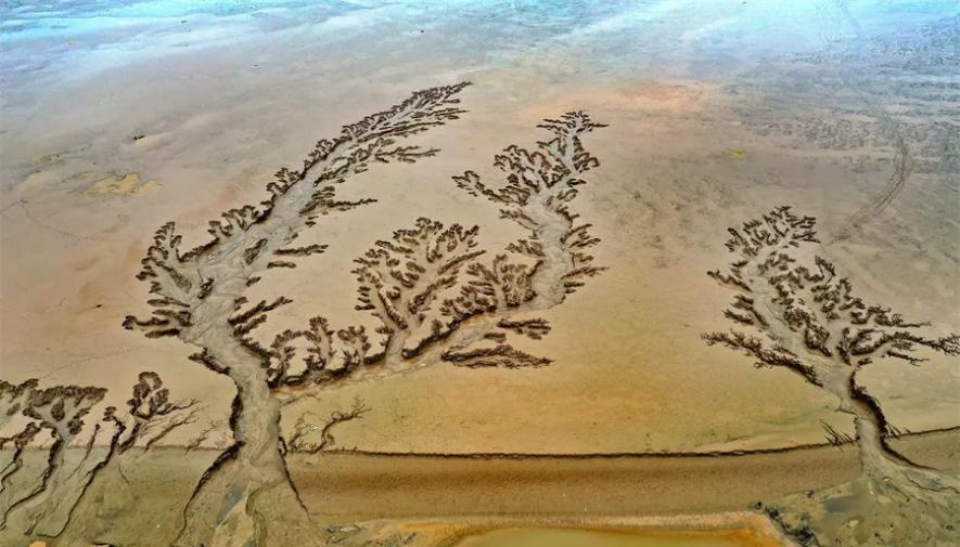 备战2023年高考地理一轮复习考点09外力作用与地貌景观